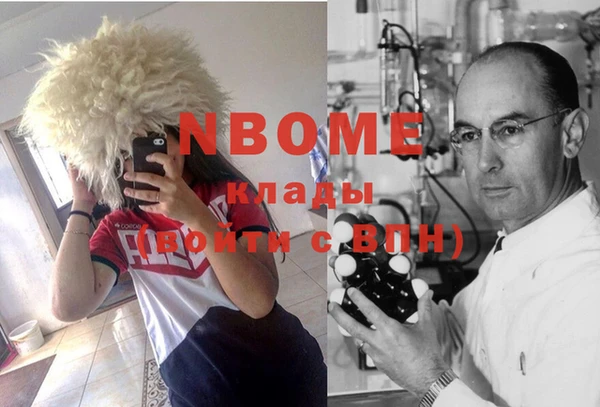 стаф Алексин