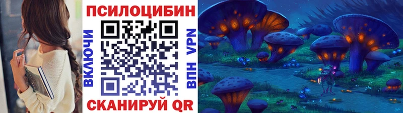 Галлюциногенные грибы MAGIC MUSHROOMS  купить наркотик  Адыгейск 
